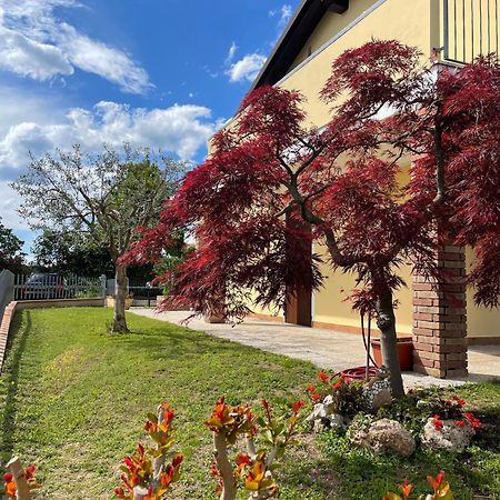 Casa Giulia Villa Monzambano Kültér fotó